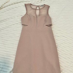 Light Pink Express Mini Dress